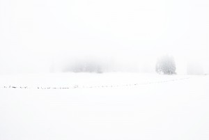 20130210105351 dsc 6462 blanc jura 800