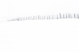 20130210105418 dsc 6495 blanc balustrade 800